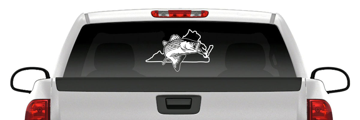 Virginia Striped Bass Vinyl Decal – Striper / Rockfish Fishing Sticker