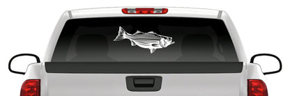 Striped Bass Fishing Vinyl Decal – Striper / Rockfish Sticker
